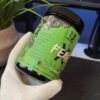 Fear X Pre-Workout Green Apple V1-3